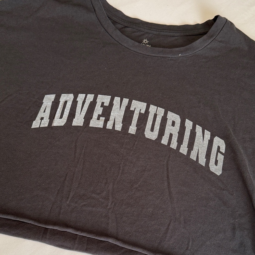 OFFLINE by Aerie Crop T-Shirt